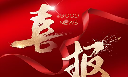 喜报丨kaiyun·开云(中国)官方网站-kaiyun.com入选2024粤港澳大湾区企业创新力榜单